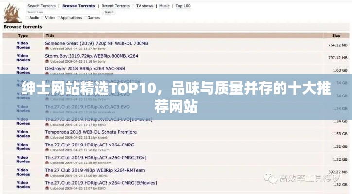 绅士网站精选TOP10,品味与质量并存的十大推荐网站