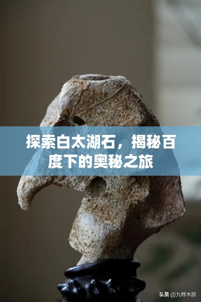 探索白太湖石，揭秘百度下的奥秘之旅