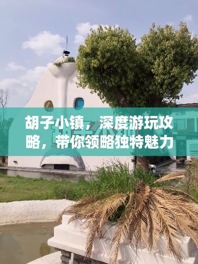 胡子小镇，深度游玩攻略，带你领略独特魅力！