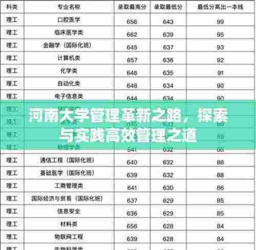 河南大学管理革新之路,探索与实践高效管理之道