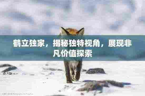 鹤立独家，揭秘独特视角，展现非凡价值探索
