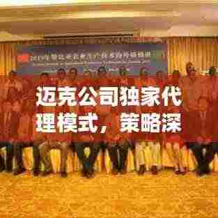 迈克公司独家代理模式,策略深度解析、优势挑战并存