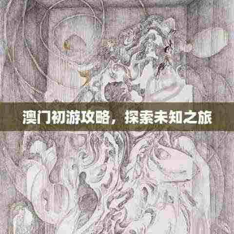 澳门初游攻略,探索未知之旅