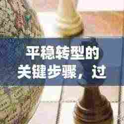 平稳转型的关键步骤,过渡期内严格落实执行策略