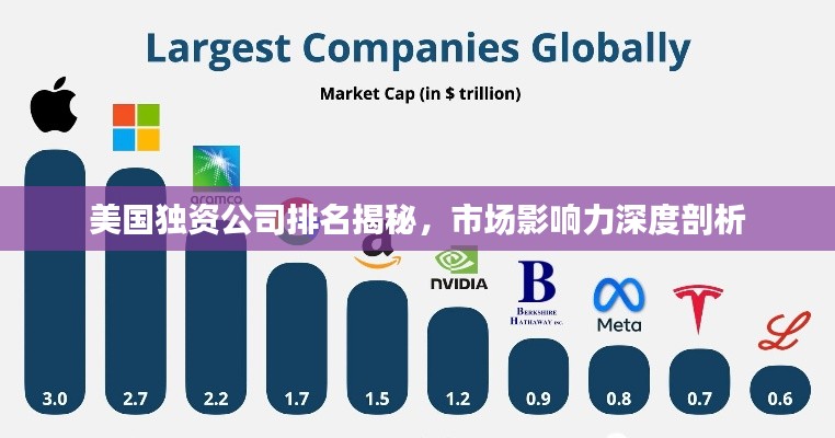 美国独资公司排名揭秘,市场影响力深度剖析