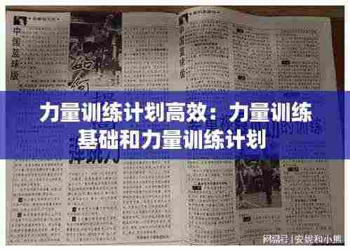 力量训练计划高效:力量训练基础和力量训练计划