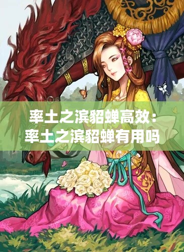 率土之滨貂蝉高效：率土之滨貂蝉有用吗 