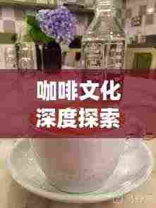 咖啡文化深度探索，探寻咖啡背后的故事与魅力