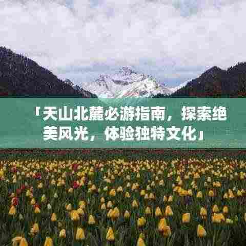 「天山北麓必游指南,探索绝美风光,体验独特文化」