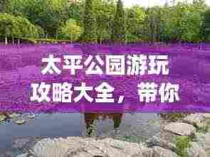 荆钗布裙 第3页