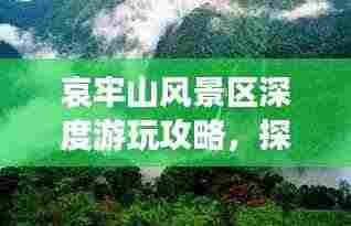 哀牢山风景区深度游玩攻略,探秘自然奇观,体验绝佳旅游路线!
