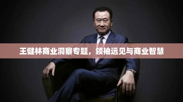 王健林商业洞察专题,领袖远见与商业智慧