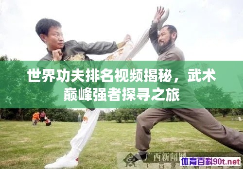 世界功夫排名视频揭秘,武术巅峰强者探寻之旅