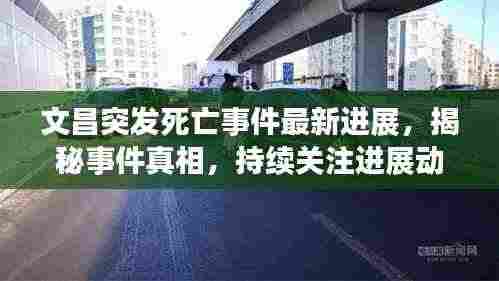 文昌突发死亡事件最新进展,揭秘事件真相,持续关注进展动态