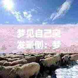 梦见自己突发晕倒：梦见自己晕倒了又醒了是什么意思 