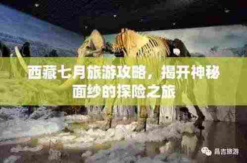 西藏七月旅游攻略,揭开神秘面纱的探险之旅