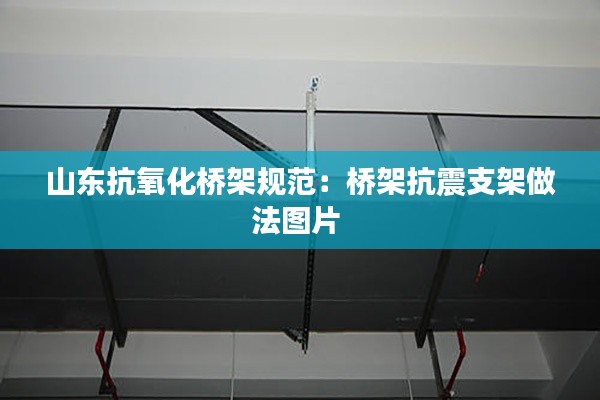 山东抗氧化桥架规范:桥架抗震支架做法图片