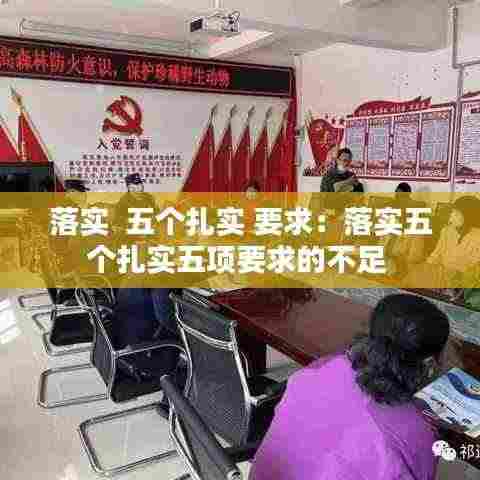 落实 五个扎实 要求:落实五个扎实五项要求的不足