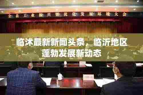 临沭最新新闻头条,临沂地区蓬勃发展新动态