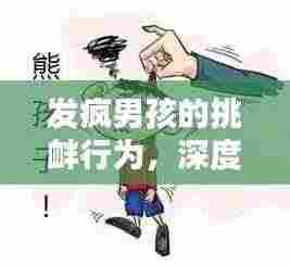 发疯男孩的挑衅行为，深度解析与应对之道
