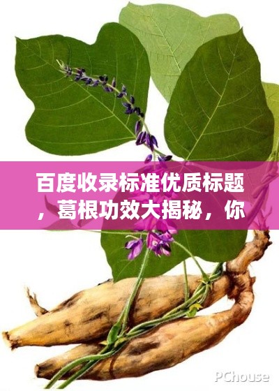 不知所云 第3页