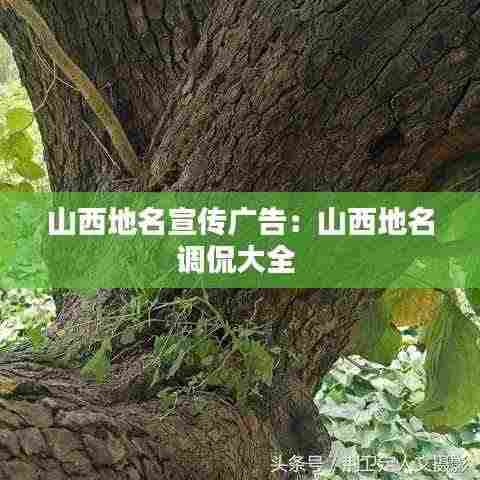 山西地名宣传广告:山西地名调侃大全