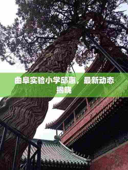 曲阜实验小学邱惠,最新动态揭晓