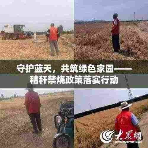 守护蓝天，共筑绿色家园——秸秆禁烧政策落实行动