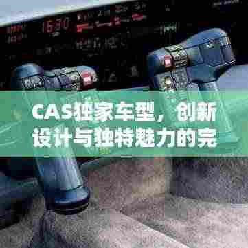 CAS独家车型,创新设计与独特魅力的完美融合