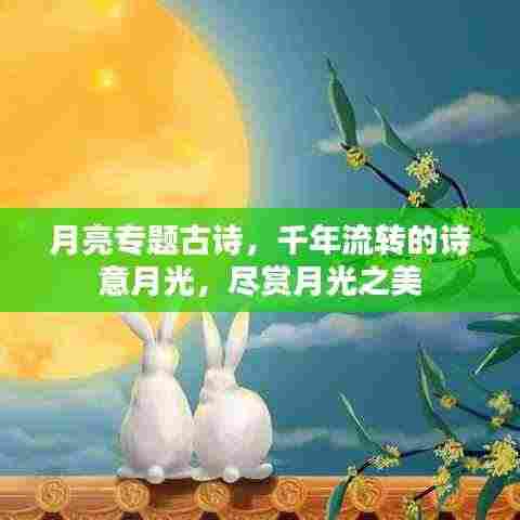 月亮专题古诗,千年流转的诗意月光,尽赏月光之美