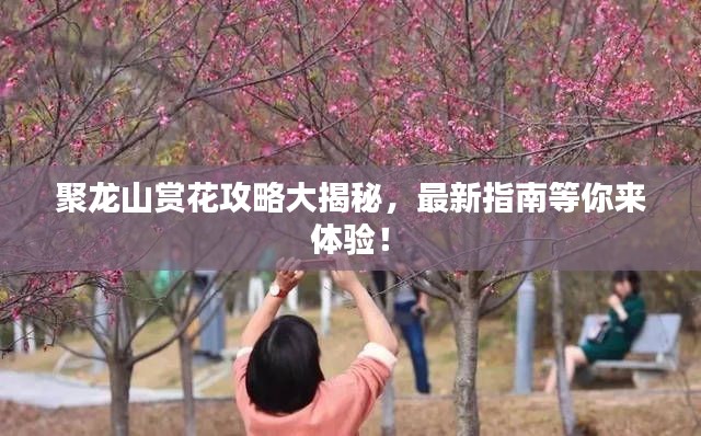 郑重其事 第3页