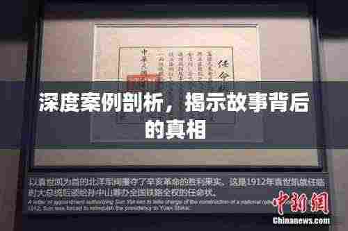 深度案例剖析,揭示故事背后的真相