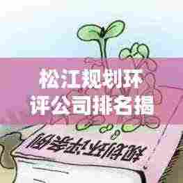 松江规划环评公司排名揭晓,专业评估机构榜单出炉!
