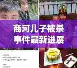 商河儿子被杀事件最新进展,揭秘视频背后的真相