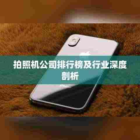 拍照机公司排行榜及行业深度剖析