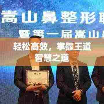 轻松高效,掌握王道智慧之道