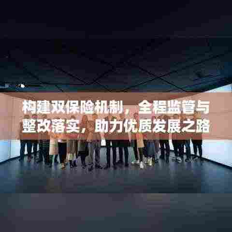 构建双保险机制,全程监管与整改落实,助力优质发展之路