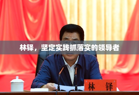 林铎,坚定实践抓落实的领导者