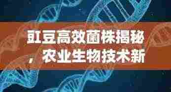 风流倜傥 第4页