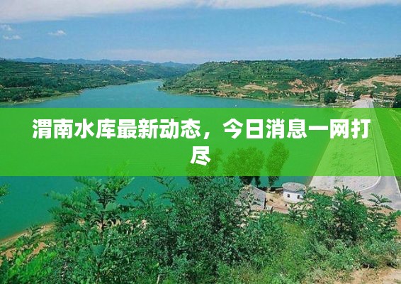 渭南水库最新动态,今日消息一网打尽