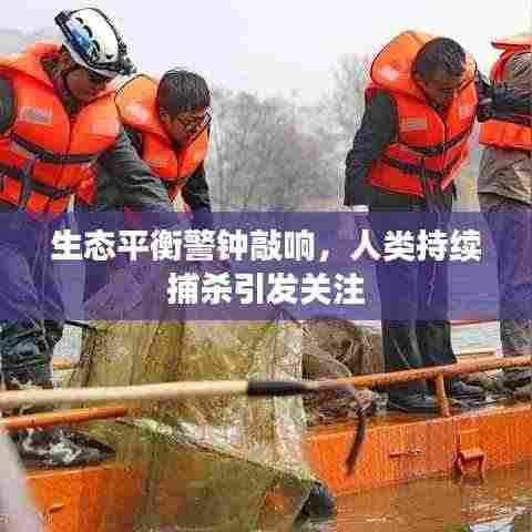 生态平衡警钟敲响，人类持续捕杀引发关注