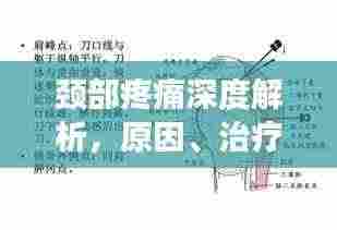 颈部疼痛深度解析,原因、治疗与预防(百度收录标准)