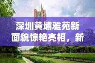 深圳黄埔雅苑新面貌惊艳亮相,新闻头条热议不断
