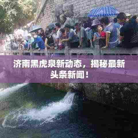 济南黑虎泉新动态,揭秘最新头条新闻!