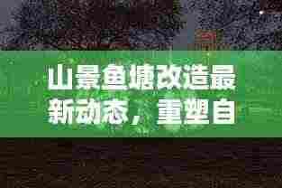 山景鱼塘改造最新动态,重塑自然之美,科技助力现代升级