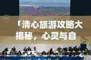 「清心旅游攻略大揭秘,心灵与自然的和谐之旅启程」