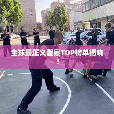 全球最正义警察TOP榜单揭晓!