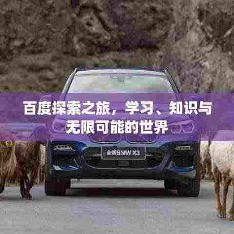 百度探索之旅,学习、知识与无限可能的世界