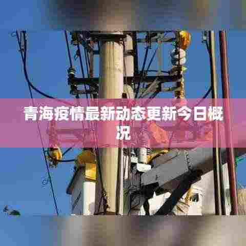 青海疫情最新动态更新今日概况