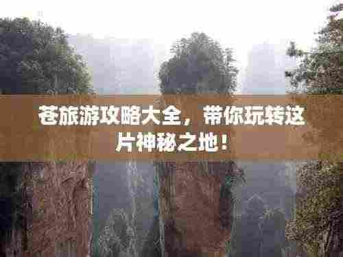 苍旅游攻略大全，带你玩转这片神秘之地！